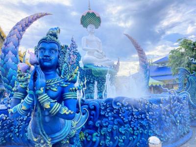 【タイ】美しすぎるブルー・テンプル！