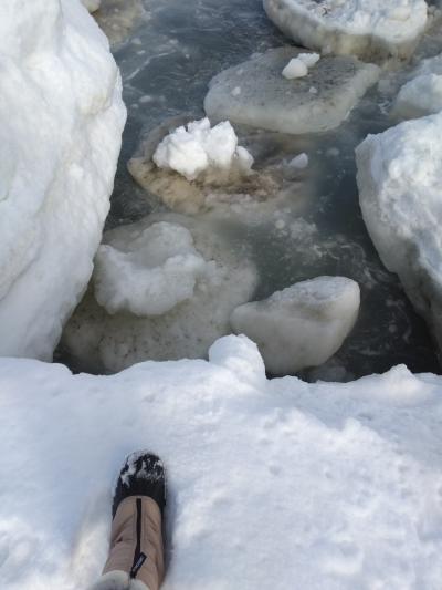 CREAと旅猫ズキャンカー旅 2025年2月の北海道旅 流氷を求めて雄武・紋別・湧別&スキーとクリオネ ⑥
