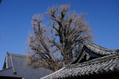 紀州路を行く【２】～寺内町の面影残る街・御坊～