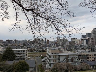 ぶらり多摩散歩　その2