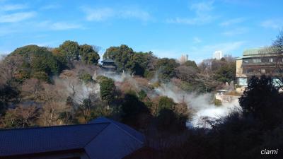 朝から東京雲海 202501椿山荘②