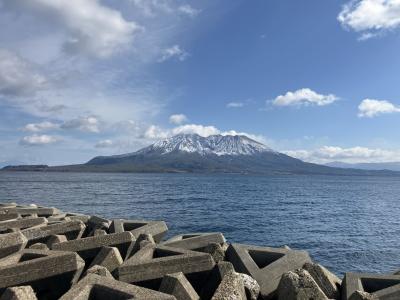 黒豚しゃぶしゃぶ