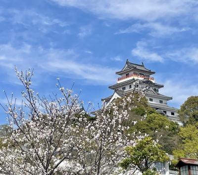 イカの活造りが食べたくて。桜咲く唐津、呼子の旅。55城目のお城めぐりは「名護屋城」。
