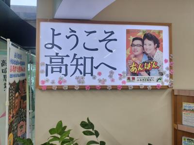 初カツオを食べに高知へ行って来ました。1日目。