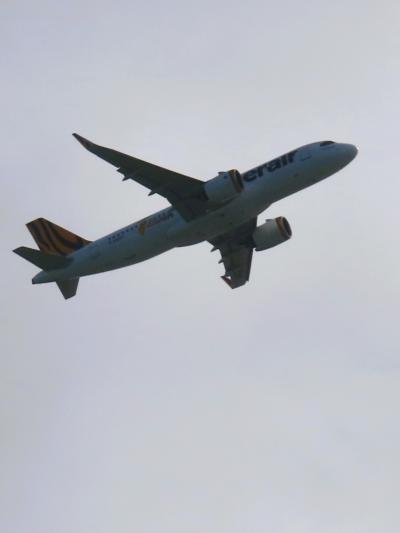 沖縄暖春25 〈航空機-離着陸〉瀬長島～那覇空港　天高く海近し　☆ZoomUpで追跡-捕捉！