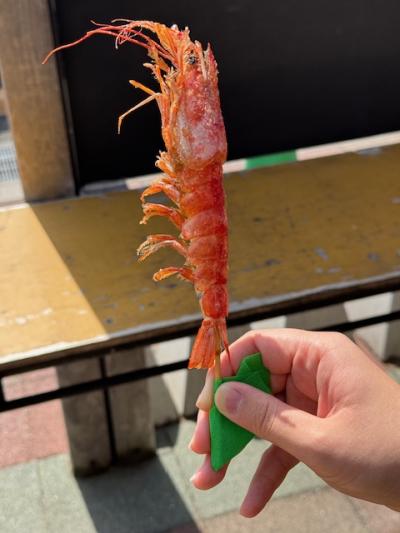 加太温泉卒業記念旅