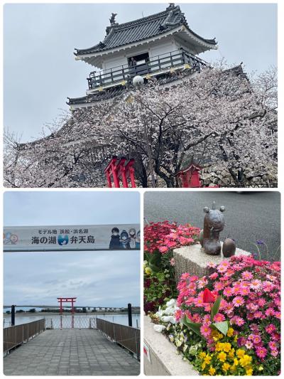 浜松でお花見…ひとり旅！