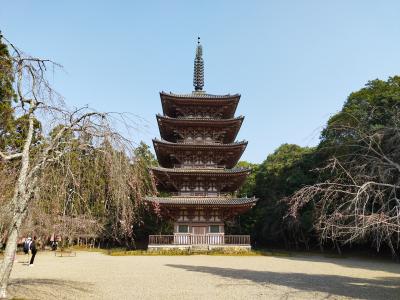 平安神宮と世界遺産「醍醐寺」日帰りバスツアー