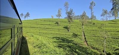 スリランカ周遊 大自然満喫の旅② (２日目 ヌワラエリヤ)