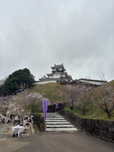 No.42　百名城の掛川城(45/100)駅から意外と近いのに知名度低くてちょっと残念