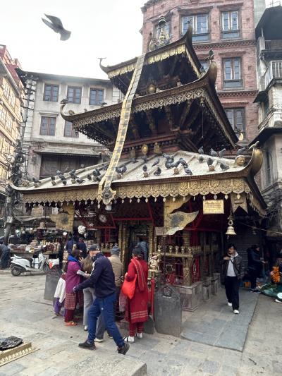 ネパール旅行　10日目前半