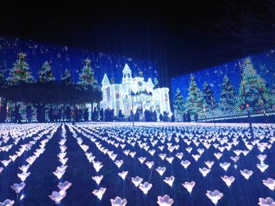 あしかがフラワーパークへ