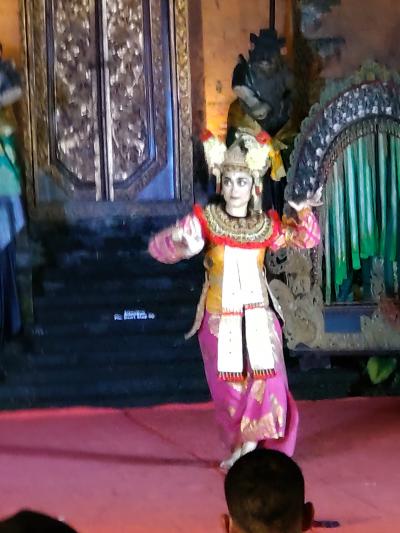 「１」３日間でバリ島へ弾丸往復旅行の巻(出発からバリ入国まで)