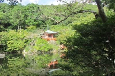 西国巡礼・琵琶湖周遊の巡礼記（３３）上醍醐宝生池で一休みし、下山する。