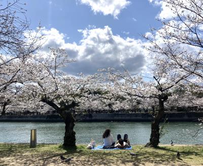 桜咲き誇る４月、戦後８０年の広島訪ねて