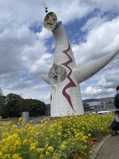 桜の街。万博記念公園