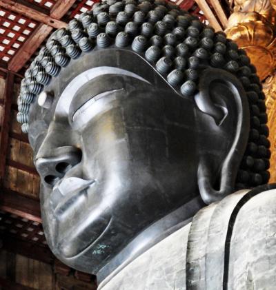 Japan春爛漫の奈良でオフ会⑤興福寺・東大寺・ゐざさ柿の葉寿司・二月堂