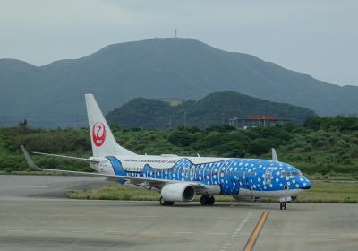 【飛行機旅】最長路線「VIVO VIVA石垣島」昨年春オープン/スイートルーム/コンドミニアム3泊