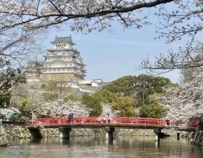 姫路城の桜めぐり