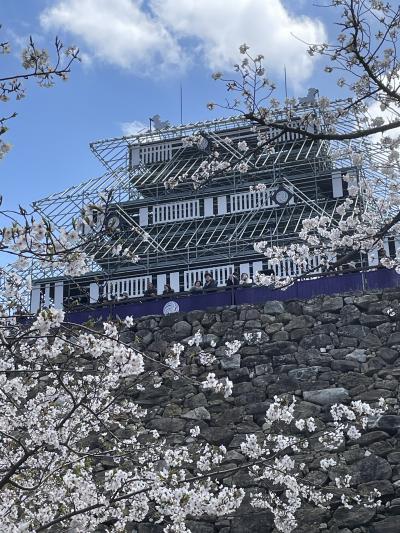 福岡市で花見三昧の徒歩旅行