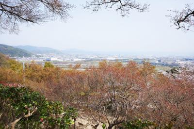 清明を迎えた石清水八幡宮