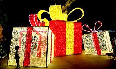 常夏のクリスマスワンダーランド♪仕上げは真真粥品、出国エリアからジュエル☆シンガポールXmasの旅6