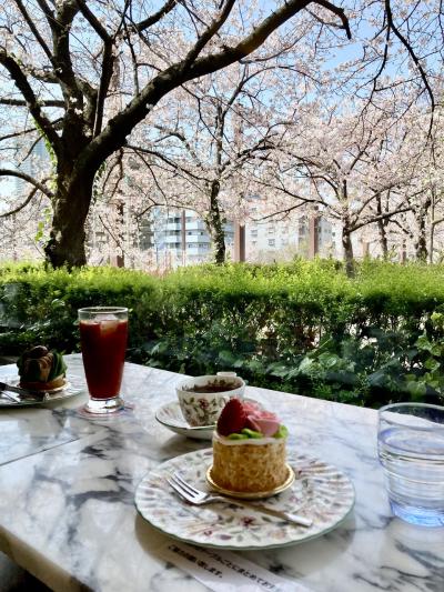 神戸お花見散歩2025