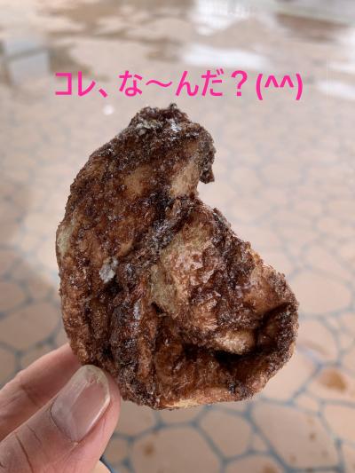 両国散歩【相撲博物館×刀剣博物館×すみだ北斎美術館】
