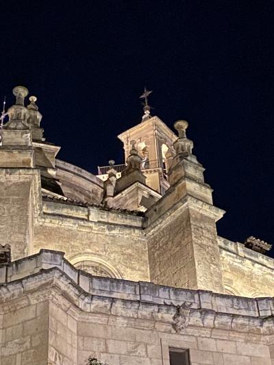 2024年　夢にも見たグラナダに！ #3 アルハンブラ宮殿　後半編