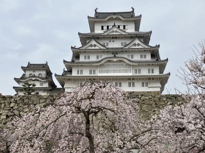 姫路城と桜　1　花曇りの土曜