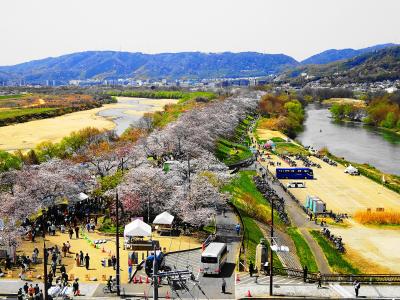 春は、野掛け。やうやうあかく、しろくなりゆく山ぎは、すこしはなやぎて、花の香、細くたなびきたる