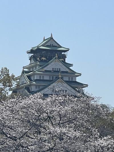 春爛漫　in   大阪