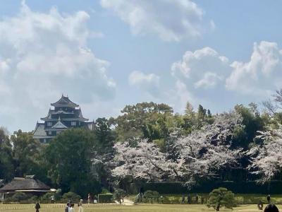 岡山城（烏城）と後楽園