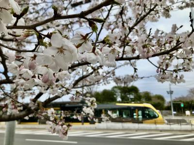宇都宮ライトレールに乗る旅