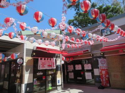 心の安らぎ旅行（2025年 DCT ウラワン 6泊7日 4日目 商店街を散策♪ Part16)
