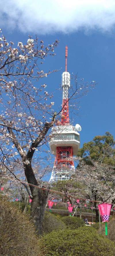 春の八幡山公園へ
