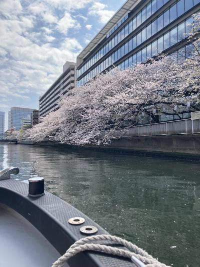 おひとりさまで大横川お花見クルーズ