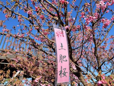 2025冬の伊豆　その2は南伊豆から西伊豆