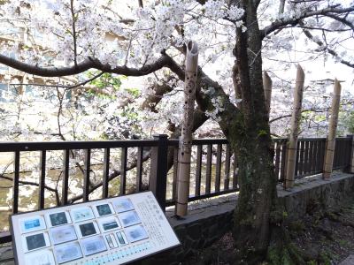 ２５年４月　伊東温泉旅行その１