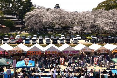 2025年の岡山さくらカーニバル