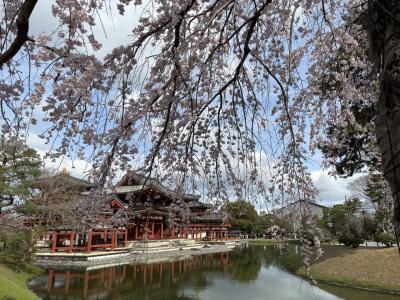 京都 2025春 1日目②