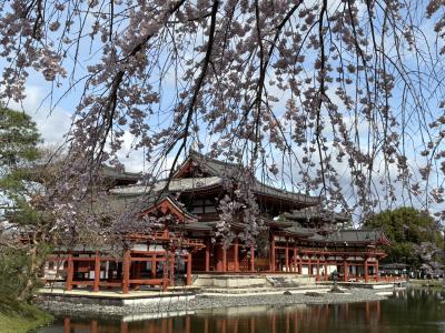 京都 2025春 2日目①