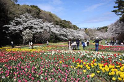 天気予報に振り回された春の浜松＊花とメルヘン（？）の旅＊③～これは奇跡？！ヒトトキの青空＆花花花(*ﾟ▽ﾟ)ﾉ