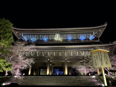 京都 2025春 2日目③