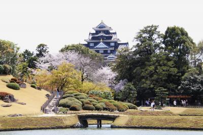 年間パスポート2回目の使用、後楽園でお花見