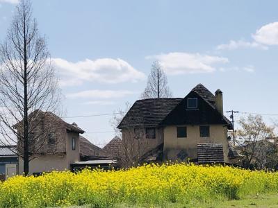 天気予報に振り回された春の浜松＊花とメルヘン（？）の旅＊④～みつばち村のさんぽ道＆三ヶ日古民家カフェ