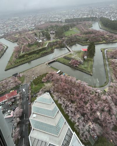⑩マダムの春色に染まる北海道・東北10の桜巡り3日間  3日目の1　城岱牧場展望台＝函館ワイン＝五稜郭タワー・・五稜郭公園