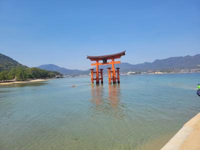 広島周遊　夫婦旅　2日目～宮島・広島市内～　2/3