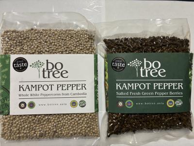 ３か国縦断（ベトナム・カンボジア・タイ）（4)カンポットで胡椒購入→フーコック島へ