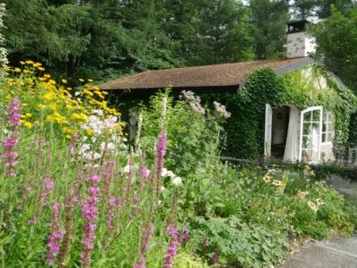 真夏の風のガーデンと新富良野プリンスホテル界隈